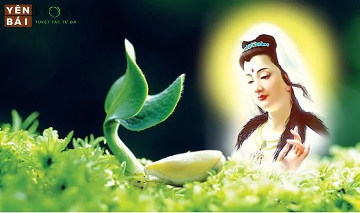 Cách cầu nguyện Quan Thế Âm Bồ Tát đúng chuẩn nhất — Yên Bái Stone