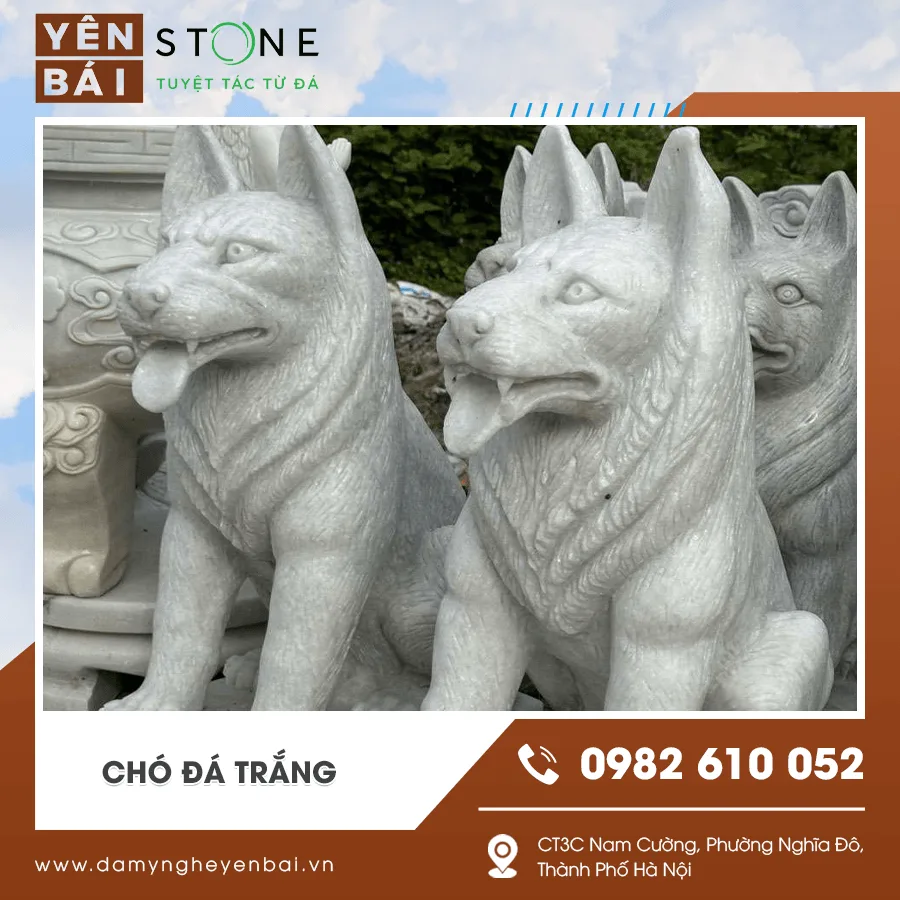 Chó đá trắng cho công trình tâm linh và sân vườn Chó đá trắng cho công trình tâm linh và sân vườn